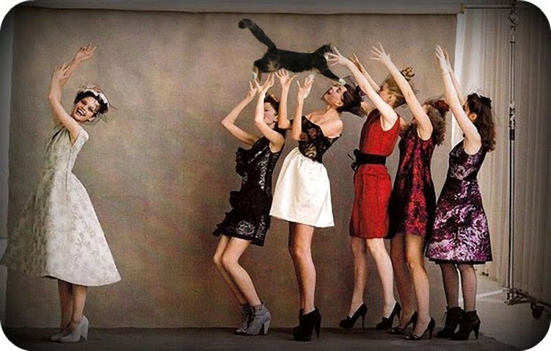 新娘“拋貓”創意8