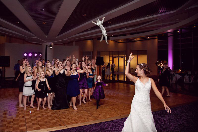 新娘“拋貓”創意15