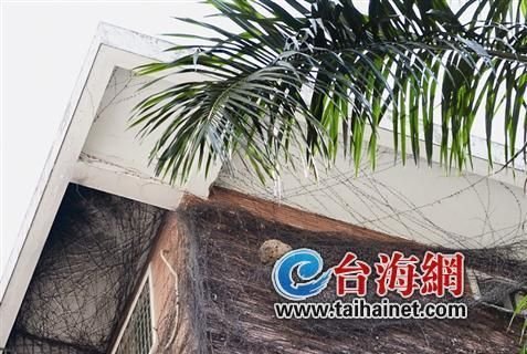 一個小區三馬蜂窩