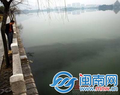 2011年，西湖遭油污污染