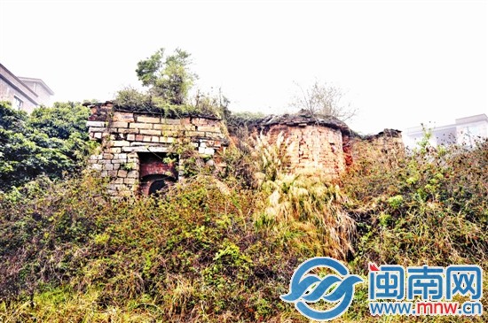 槐山村一處古窯，已經被草叢包圍