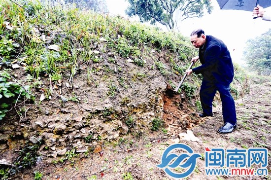 在田埂上，隨便一挖可見瓷片堆積