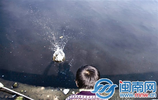 阿寶的樂園，是家門口那灣水塘