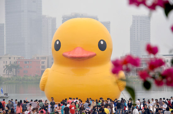 “賞鴨”市民絡繹不絕