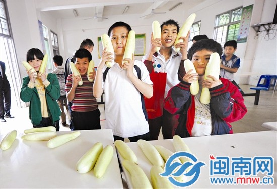 孩子們拿到黃瓜很開(kāi)心