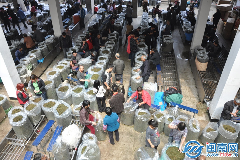 已接近中午時(shí)分,交易大廳仍有許多茶農(nóng)等待交易 副本