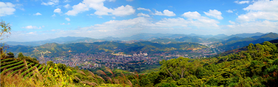 美麗迷人的茶鄉風光