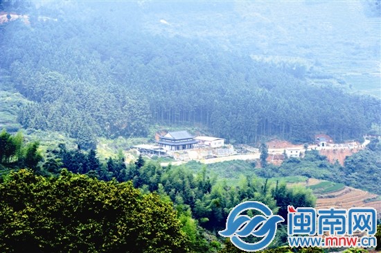 圓明寺邊上就是桫欏