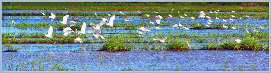 整治后的蔗潭溪山霞段