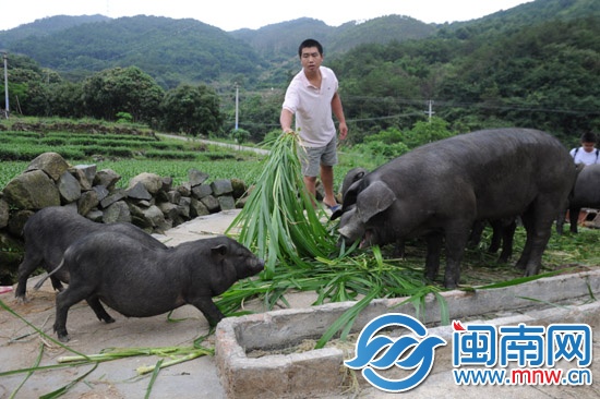 義賣助學 一個說到做到的承諾11