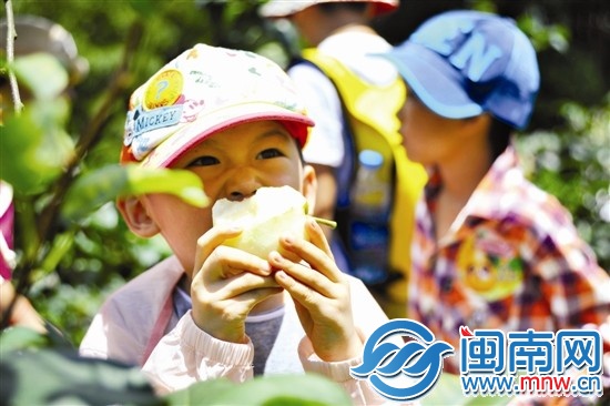 剛摘下來的梨子，忍不住先咬一口